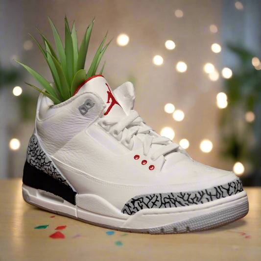 👟 Jordan 3- Succulent Display – Streetwear Meets Plant Decor 🌱 3D Printed