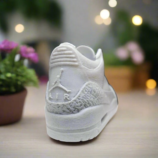 👟 Jordan 3 Sneaker Planter | Sneakerhead Decor Gift 🌿 3D Printed In Multiple Color Options