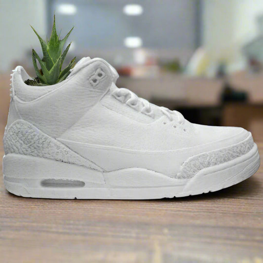 👟 Jordan 3 Sneaker Planter | Sneakerhead Decor Gift 🌿 3D Printed In Multiple Color Options